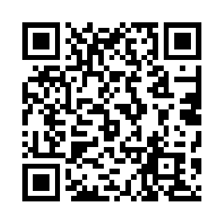 BeamQR website QR code